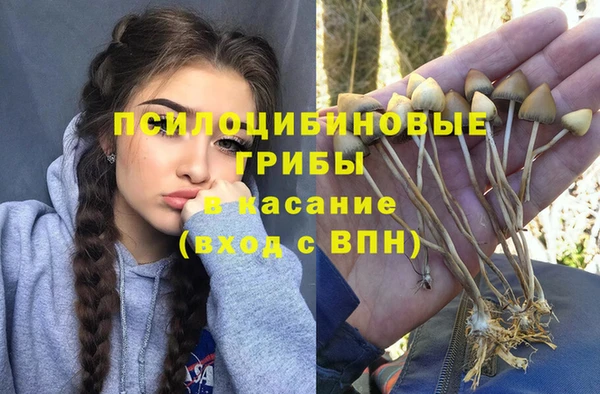 прущая мука Корсаков